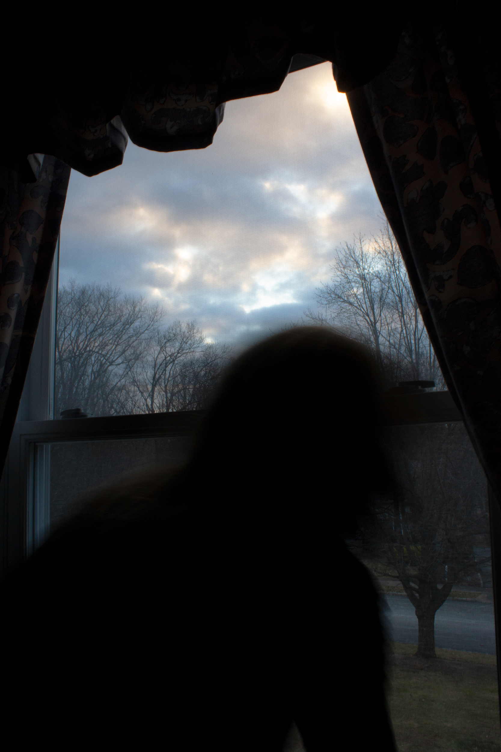 A blur of a figure in front of a window, framed by curtains. Out the window, there is a tree along a street and an expressive, stormy sky.