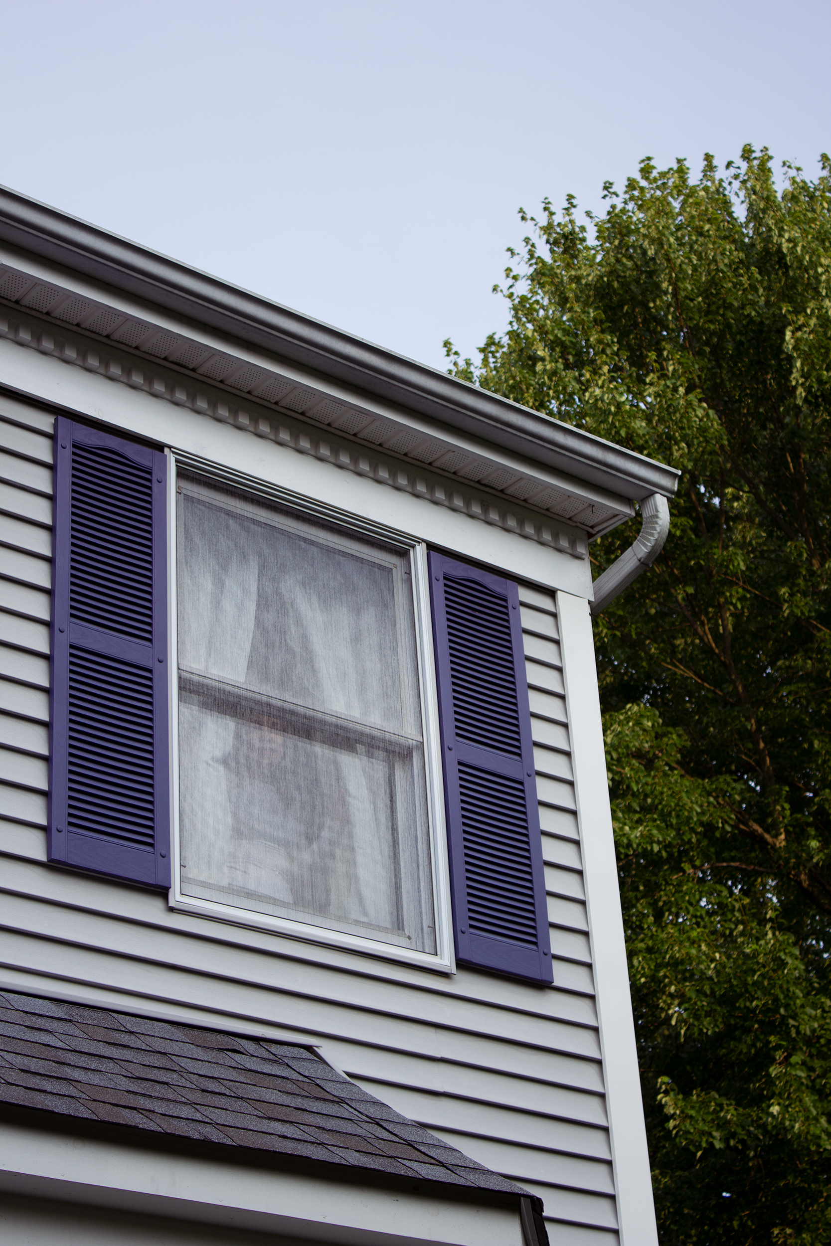 The corner of a house with light grey siding. A window in the corner with purple shutters and a figure in the window holding open curtains. Behind the house, a large green tree against a light blue sky.