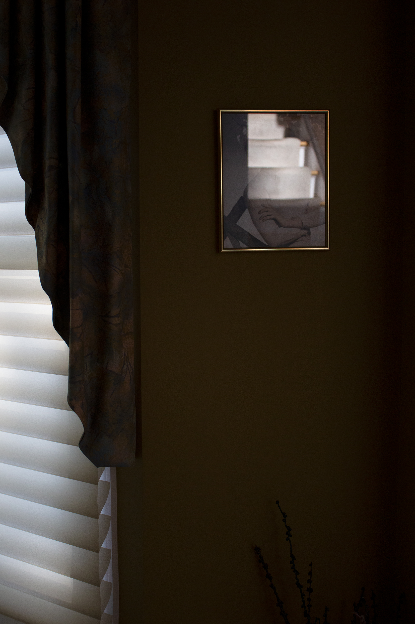 A printed photograph in a shiny gold frame hung on a dark golden beige wall. In the photograph, a woman is visible from the shoulders up with her arms crossed, but her face is covered by the reflection of three carpeted stairs. To the left of the framed photograph, a dark, multicolored curtain drapes around window blinds, which are lit up slightly by outdoor light. In the bottom right below the photograph, a few stalks of a dried plant reach upward.